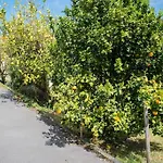 Rural Margaride Apartament