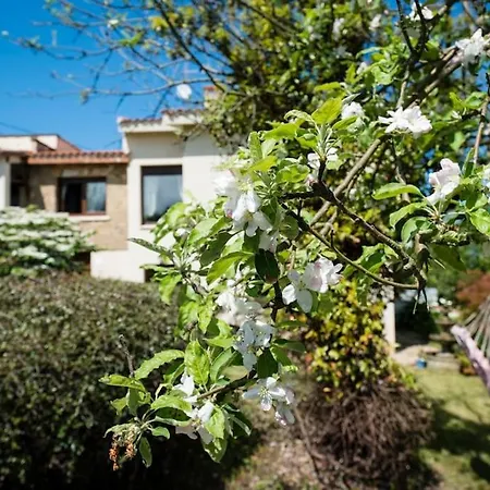 Rural Margaride Apartament