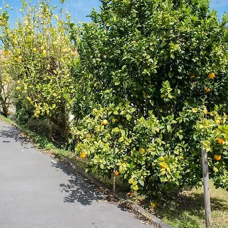 Rural Margaride Apartament