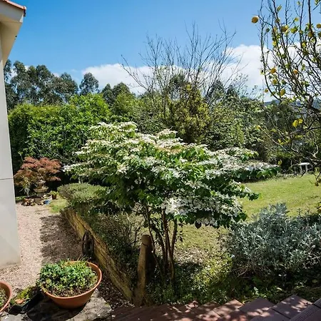 Apartamento Rural Margaride San Miguel (Gijon)