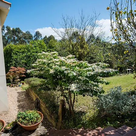 Appartamento Apartamento Rural Margaride San Miguel (Gijon)